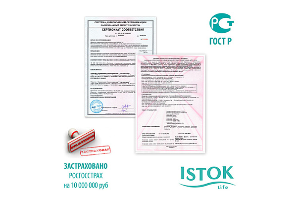 Смеситель для кухни Istok life (Излив-поворотный 25см, Шпилька, Картридж-35мм, без подводки) 716